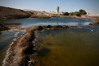 WhatsApp Image 2025-08-28 at 13.07.53.jpeg